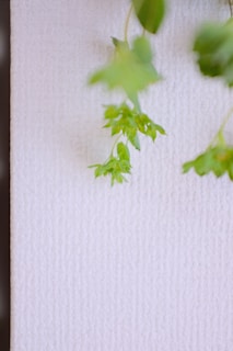 Minimalist shot of green leaves and fabric swatches blending harmoniously under soft daylight.