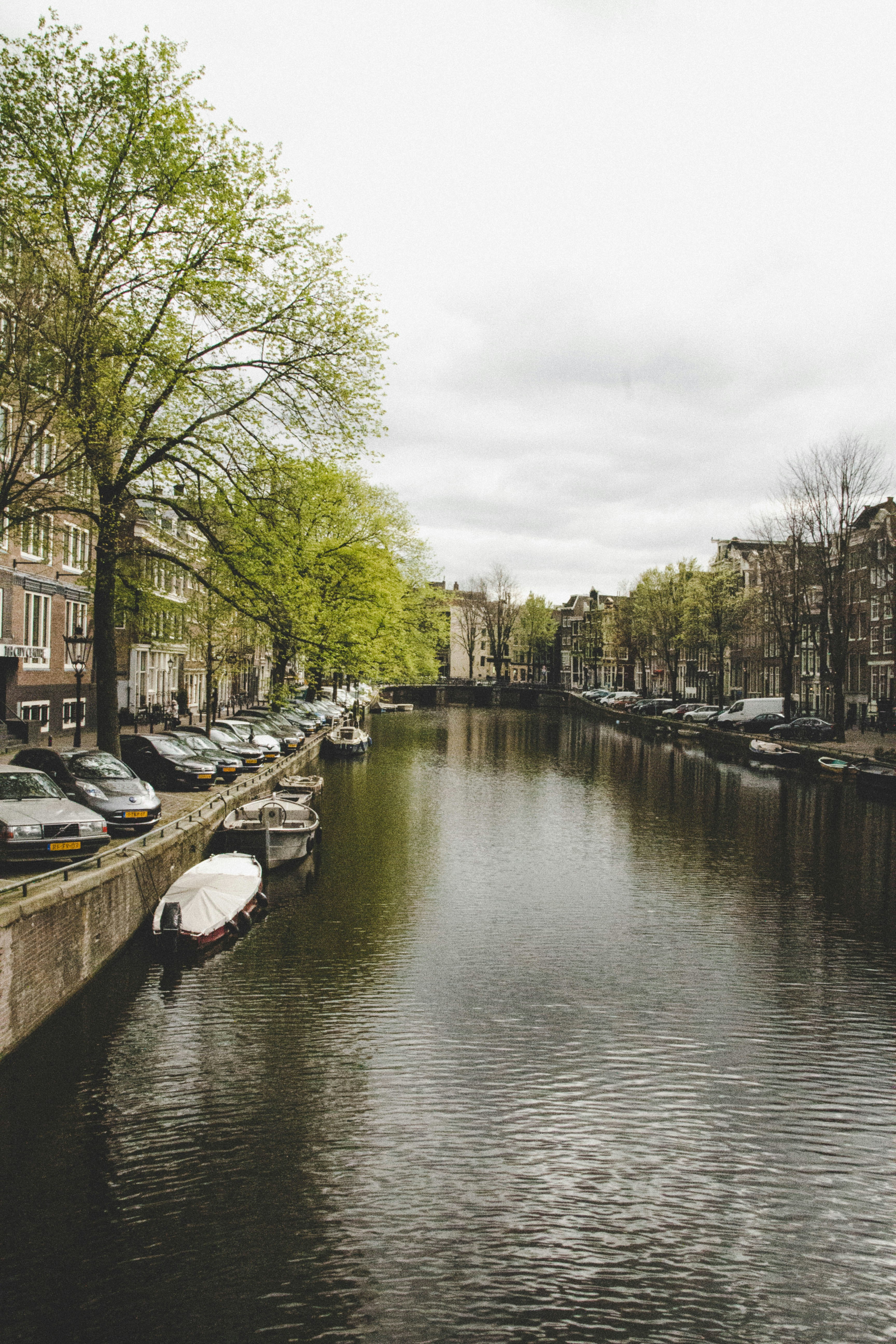 Photo by timowielink