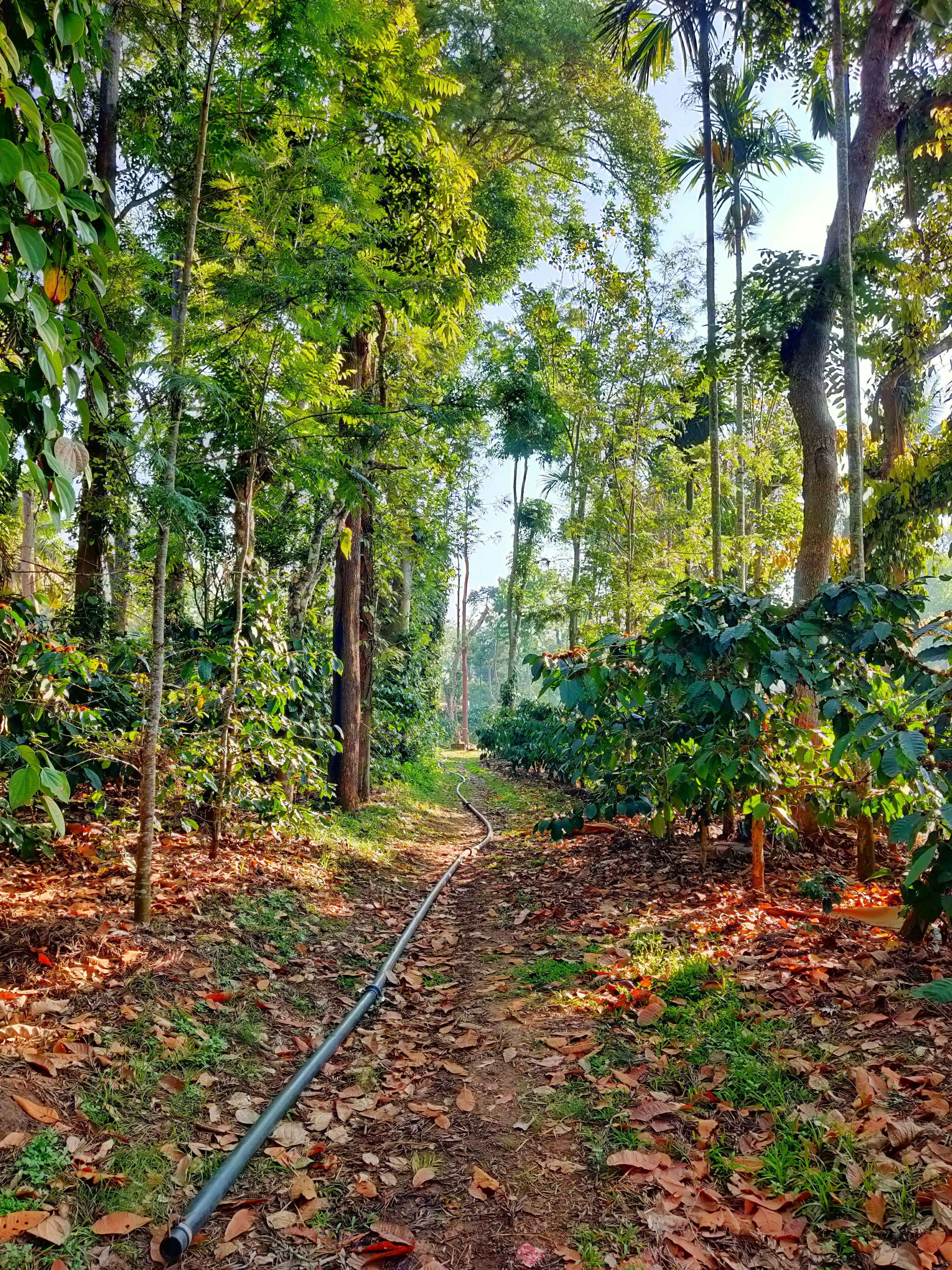 Photo by goutham_tl1