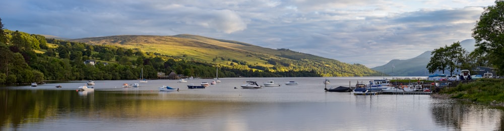 white boat on body of water near green grass field during daytime