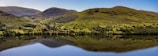 green grass field and lake