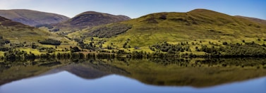green grass field and lake