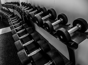 Photo of a variety of gym accessories neatly arranged in a bright, modern gym setting.