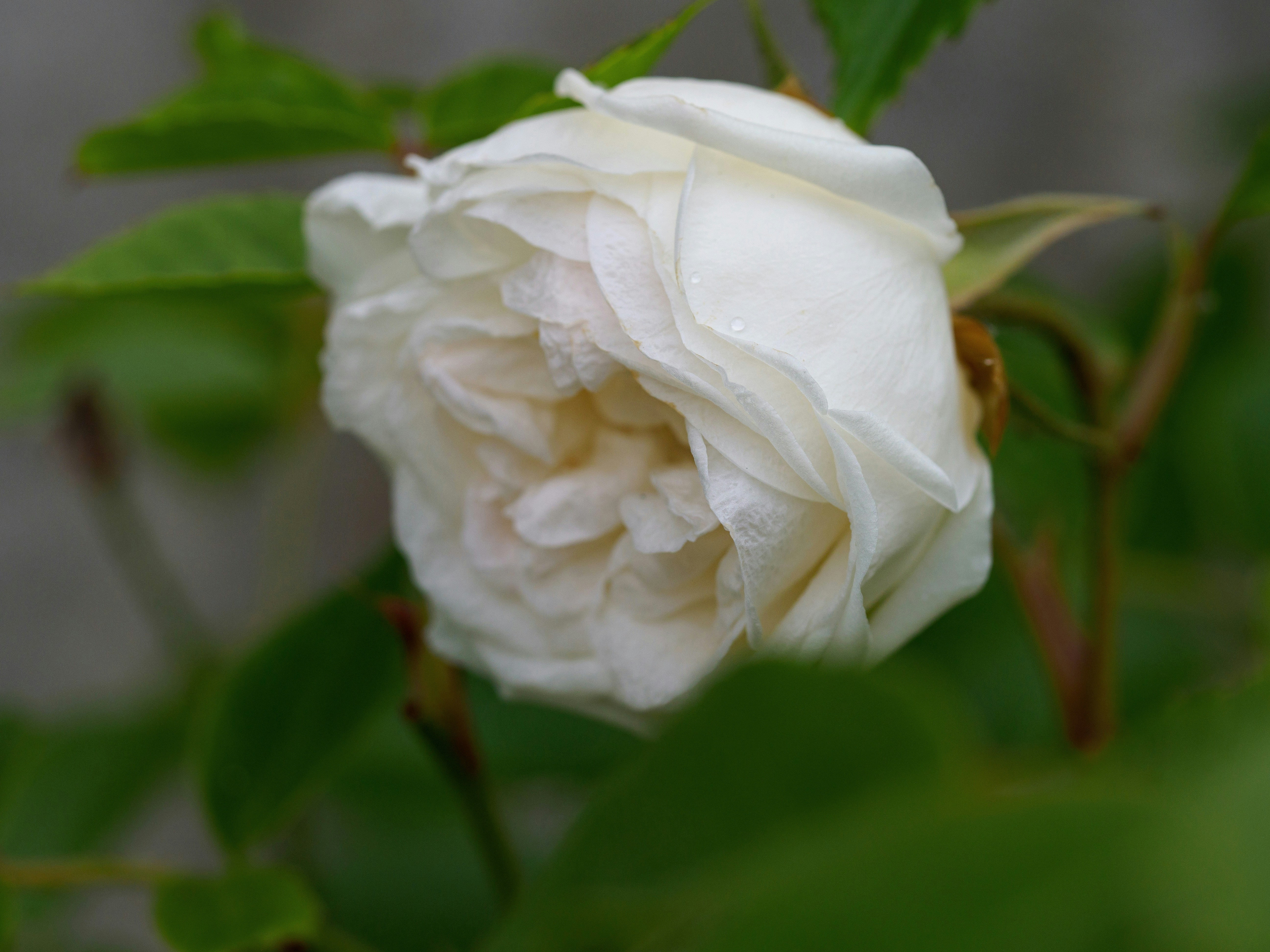 Photo by brett_jordan