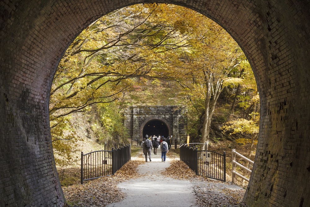 man in black jacket walking on pathway between trees during daytime