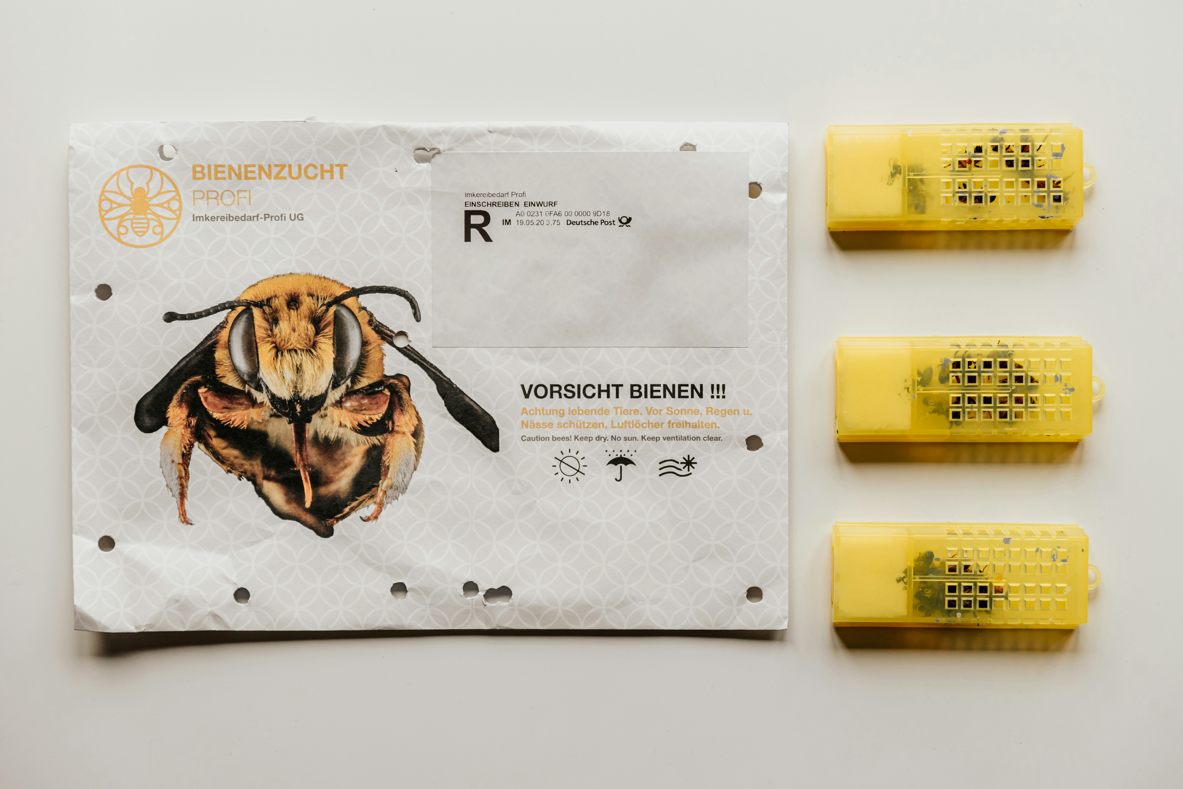 Semantic Satiation & Other Fatal Ejaculations