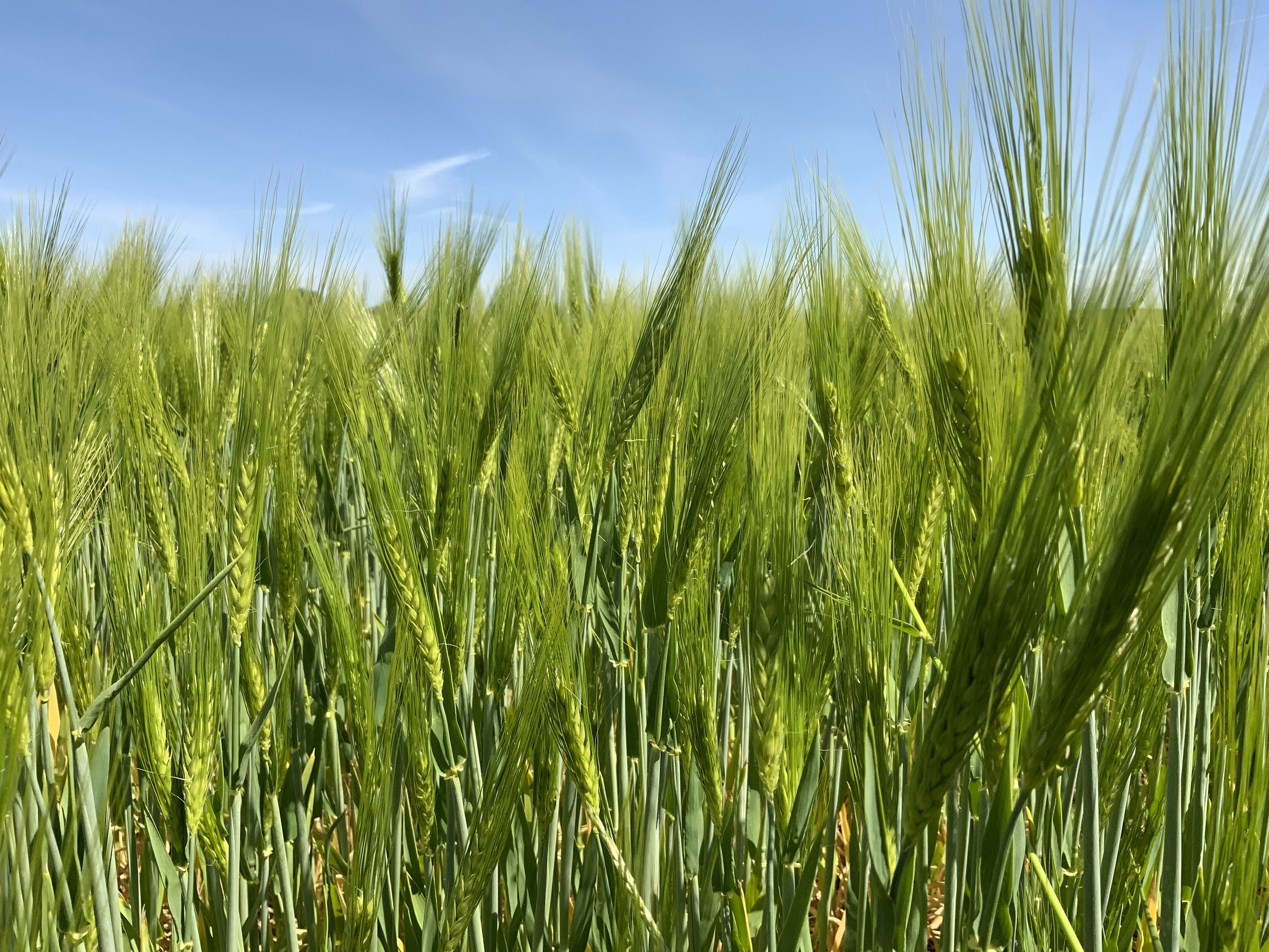 Photo by vonmitzscha