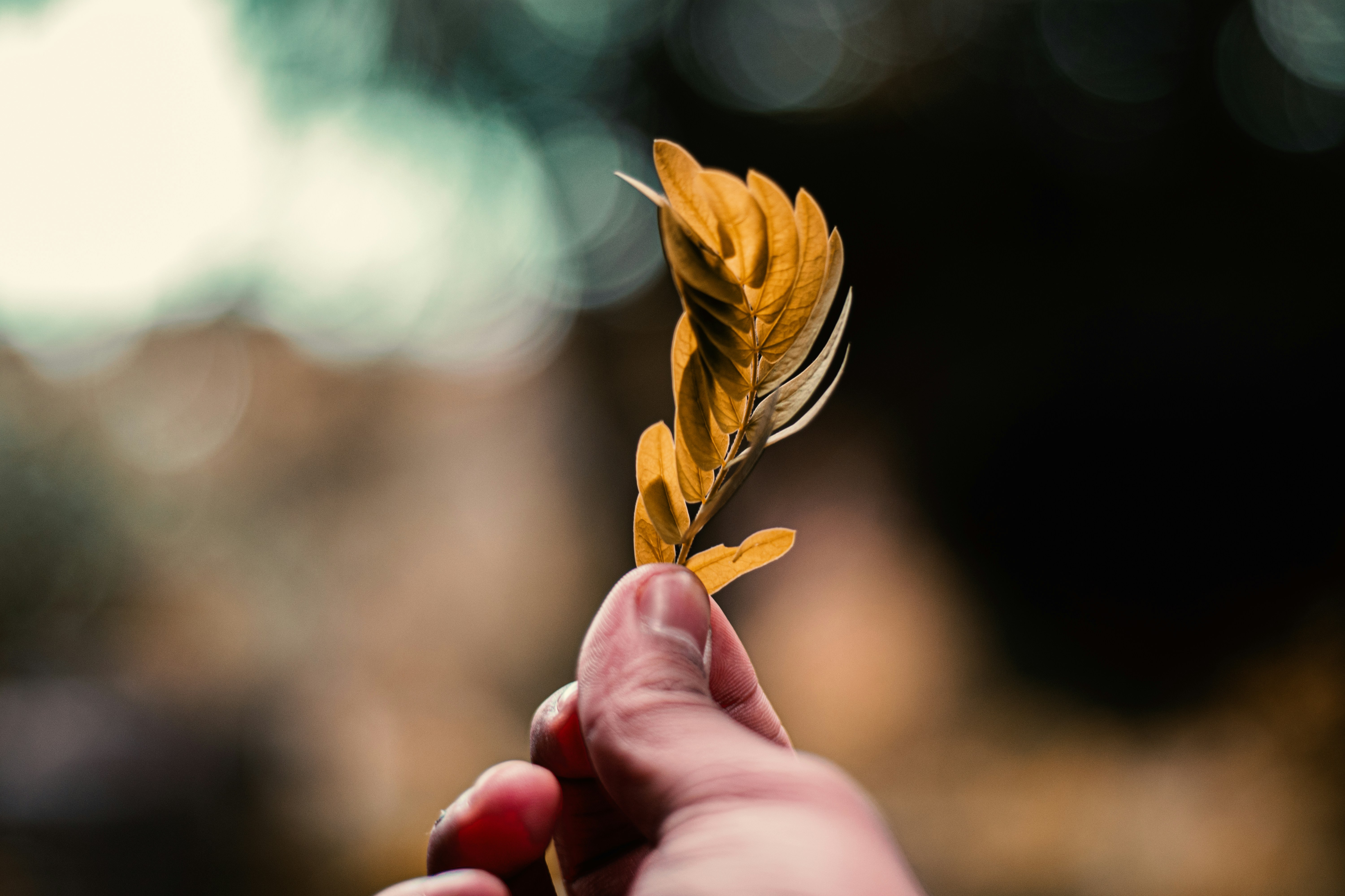 Photo by hardikkagarwal