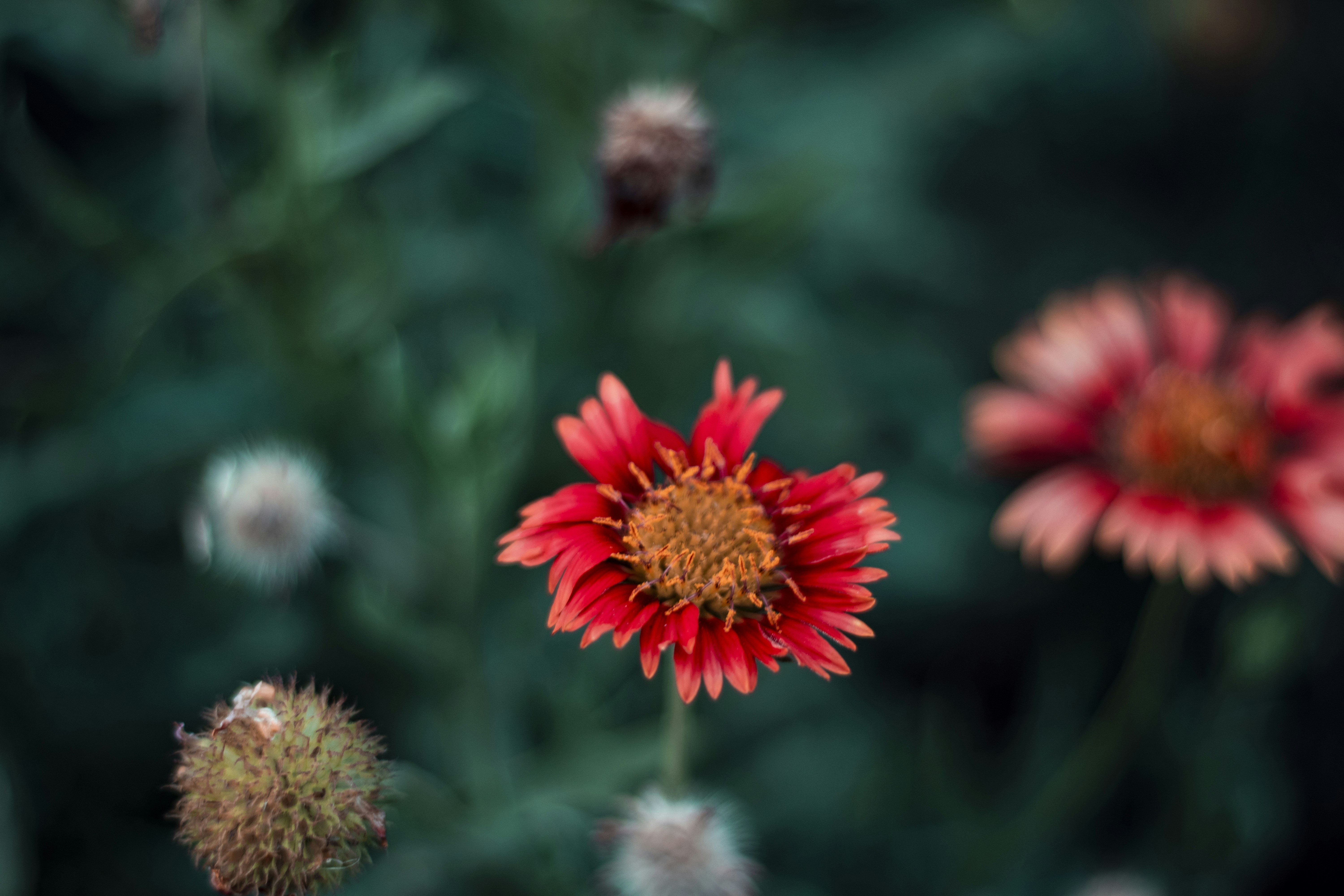 Photo by hardikkagarwal