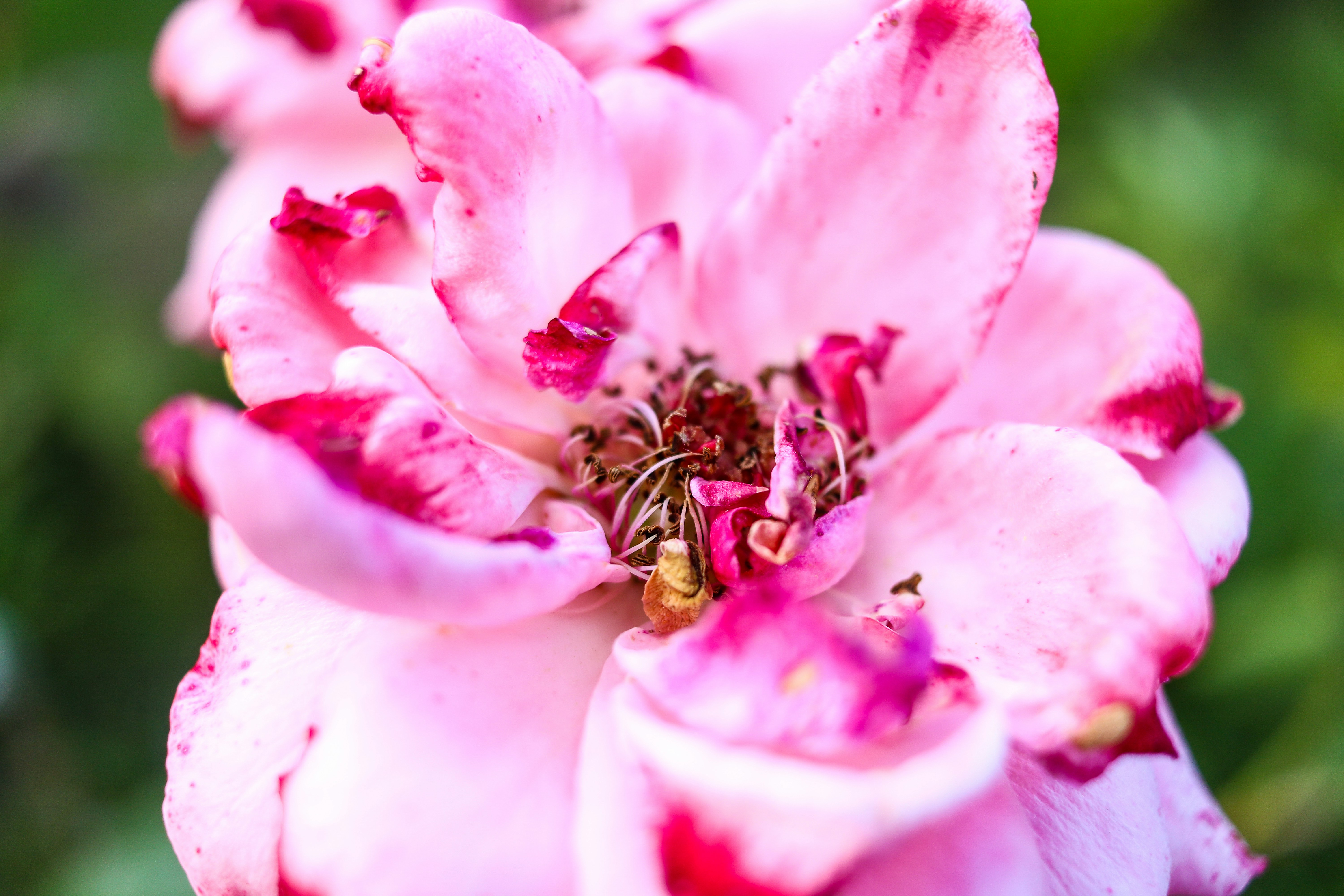 Photo by luiss_eduardo