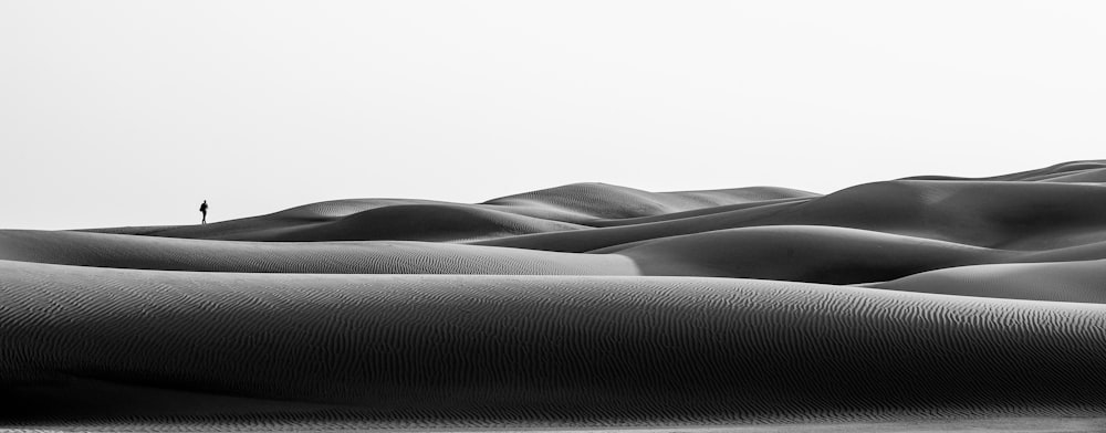 grayscale photo of a desert