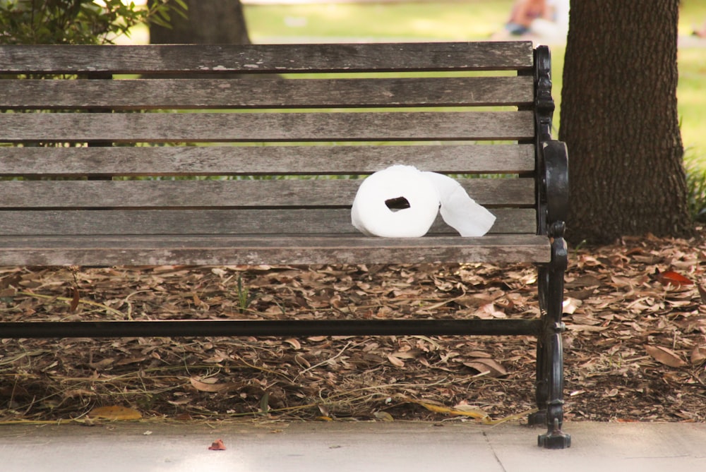 white wooden bench on brown dried leaves