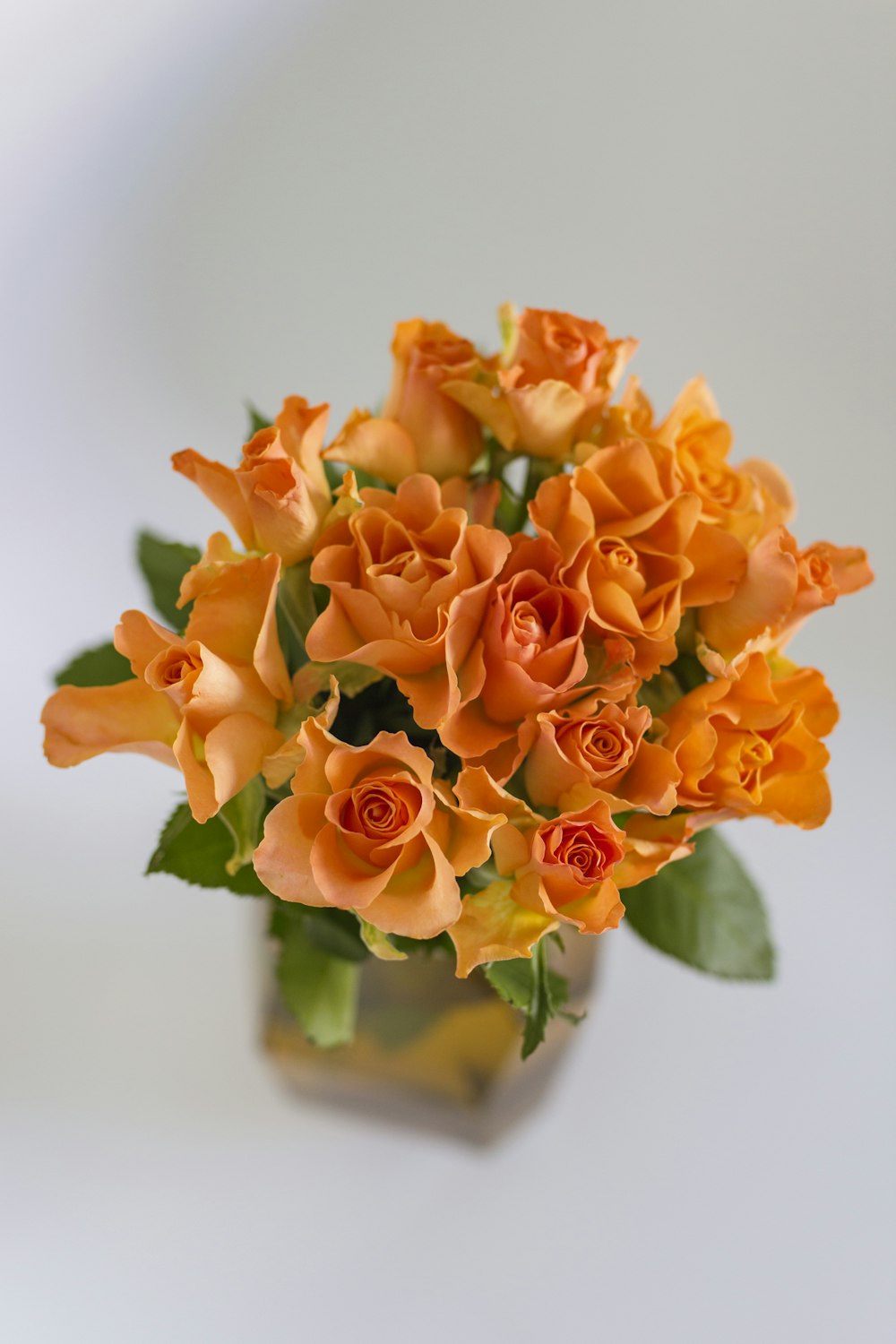 fiori d'arancio in vaso di vetro verde
