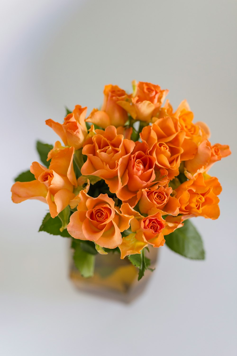 orange flowers in green glass vase