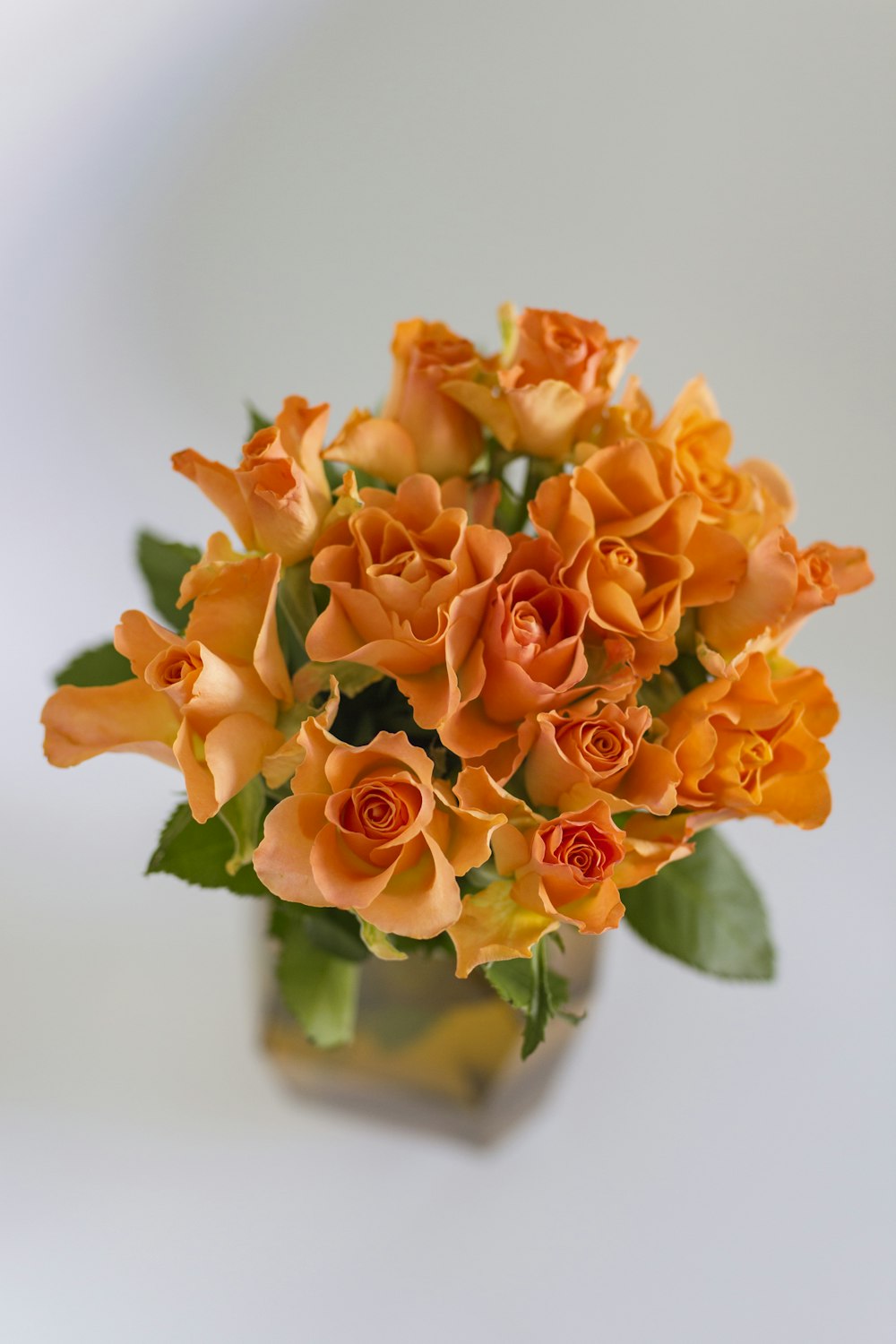 orange flowers in green glass vase