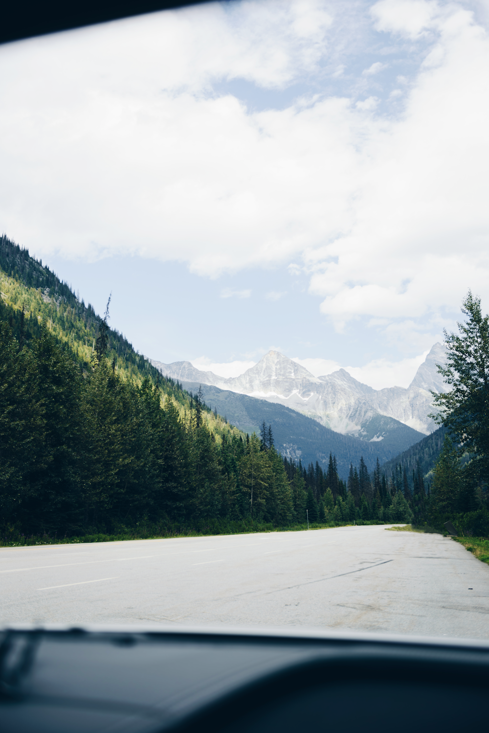 green trees near mountain under white sky during daytime