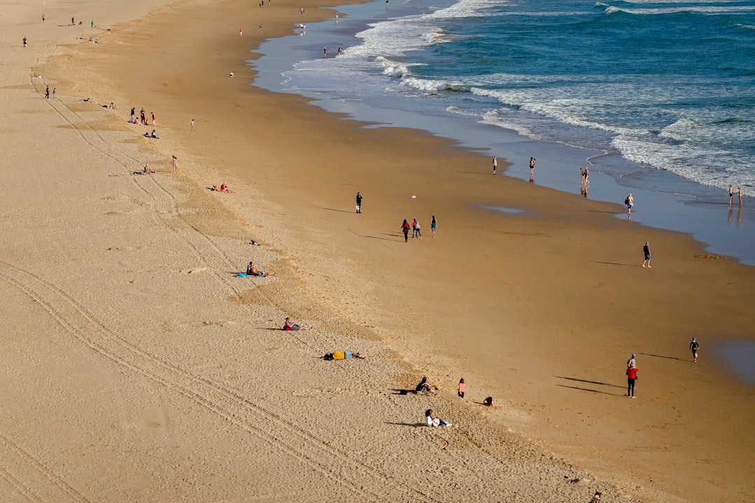 people on beach during daytime