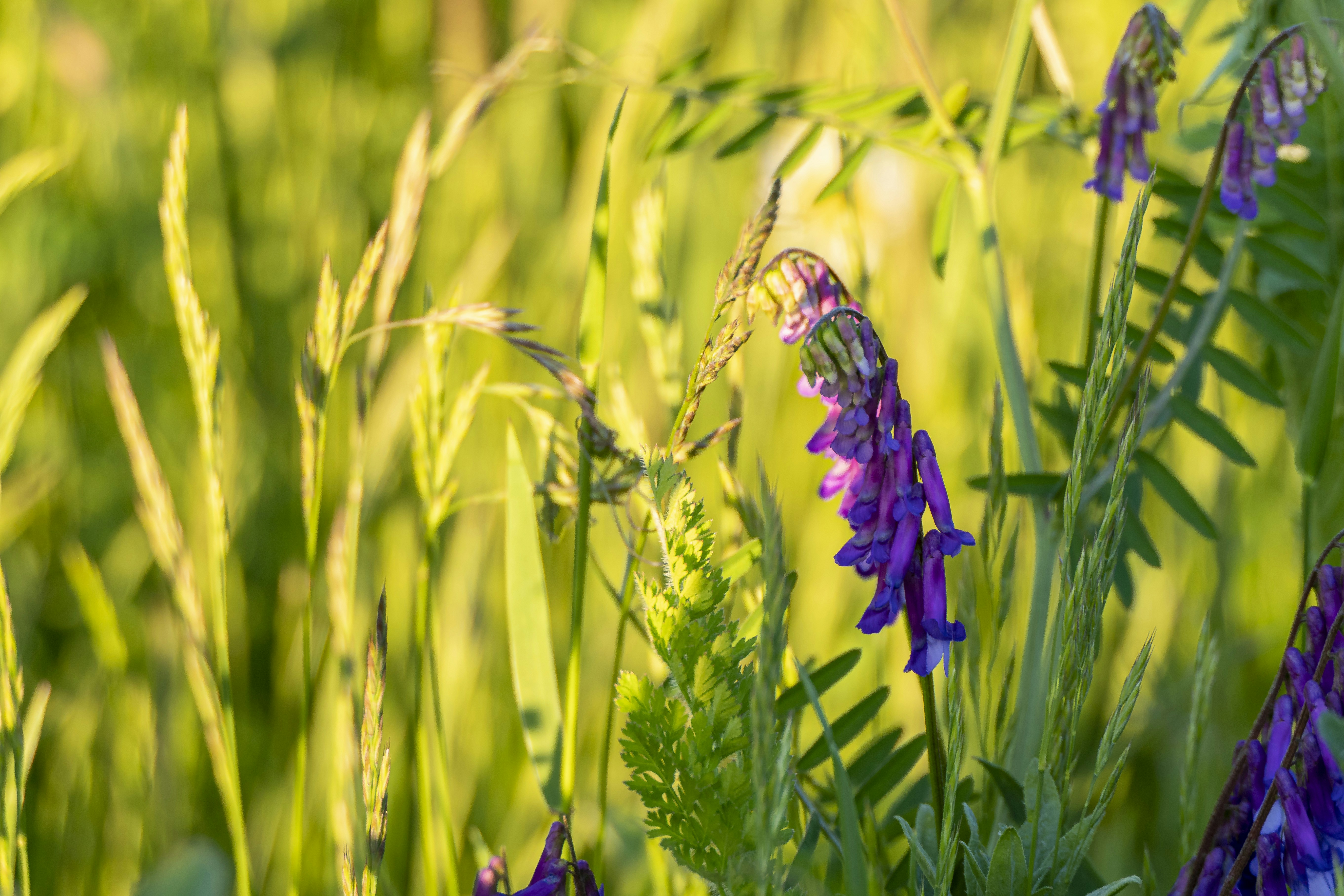 Photo by artur_luczka