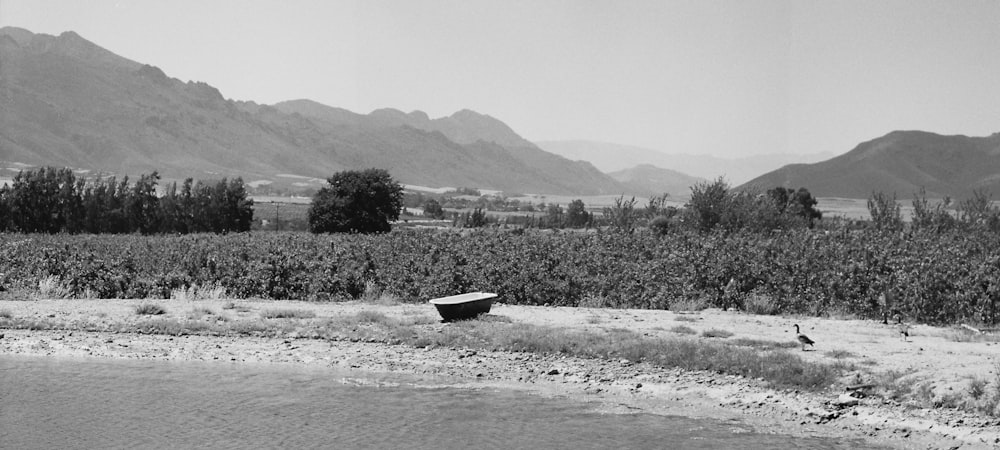 grayscale photo of boat on river