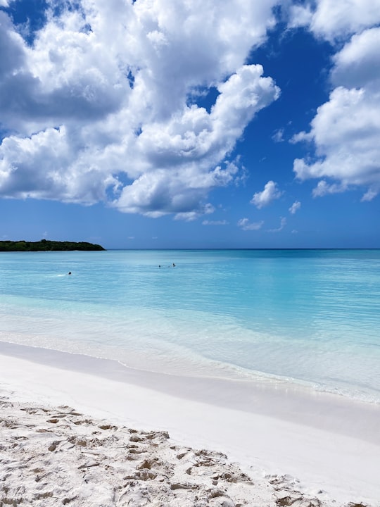 blue sea under blue sky and white clouds during daytime in Saona Island Dominican Republic