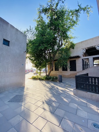 A peaceful outdoor scene with paved pathways, a building with traditional architectural elements, and a lush green tree casting shadows on the ground. The lighting suggests a time close to sunset or sunrise, creating a warm and inviting atmosphere.