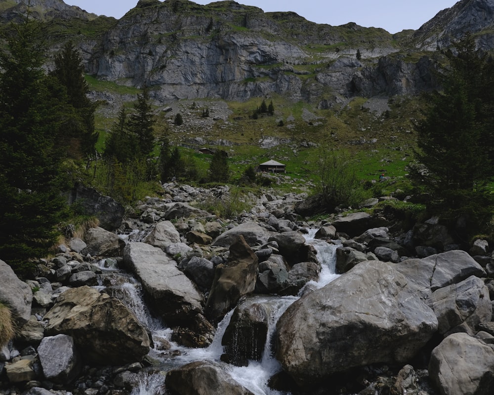 river in between green trees and gray rocky mountain during daytime