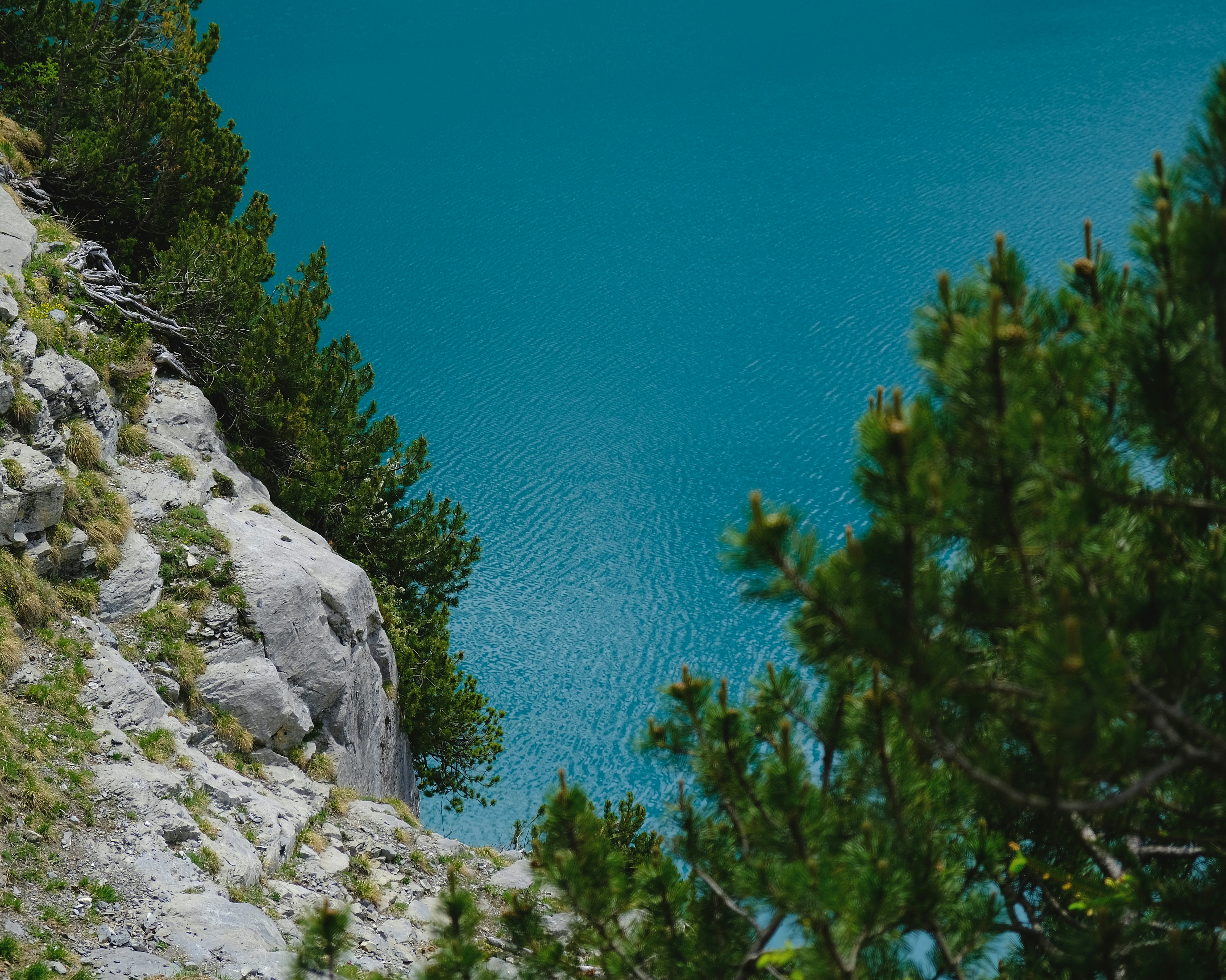 green trees on gray rocky mountain near blue sea during daytime