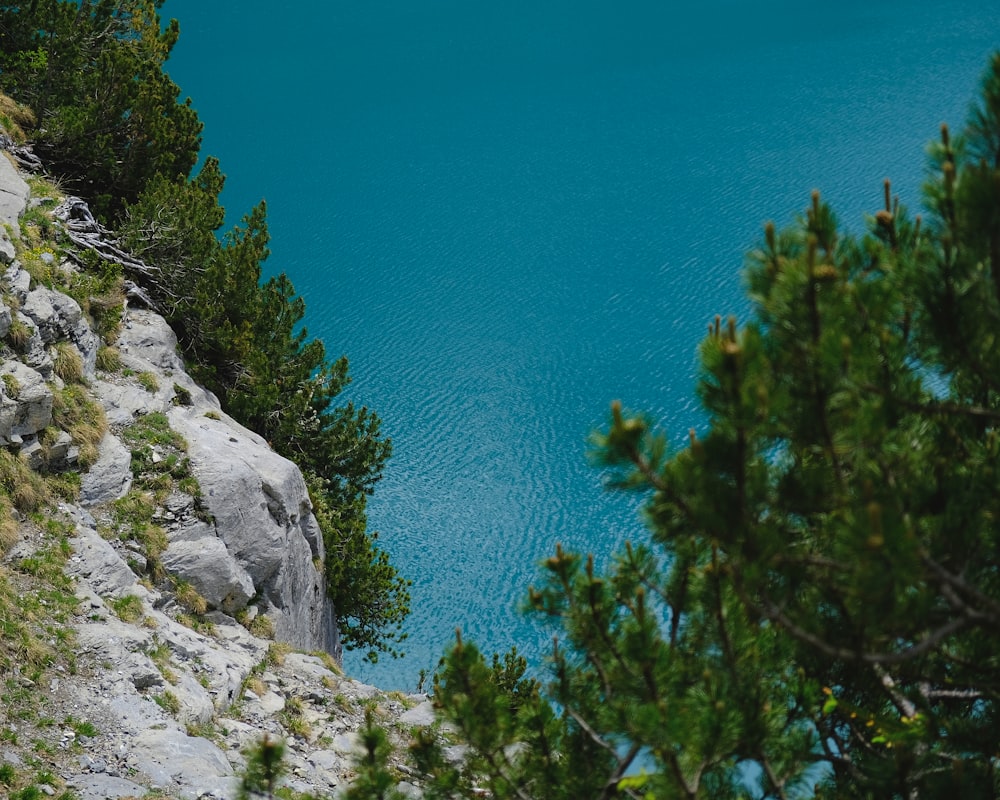 green trees on gray rocky mountain near blue sea during daytime