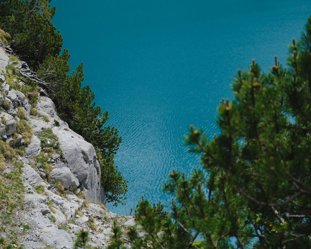 Tropical and subtropical coniferous forests photo spot Oeschinensee Brienz