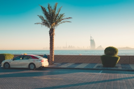 How the Janadriyah Festival Boosts Tourism and the Saudi Economy