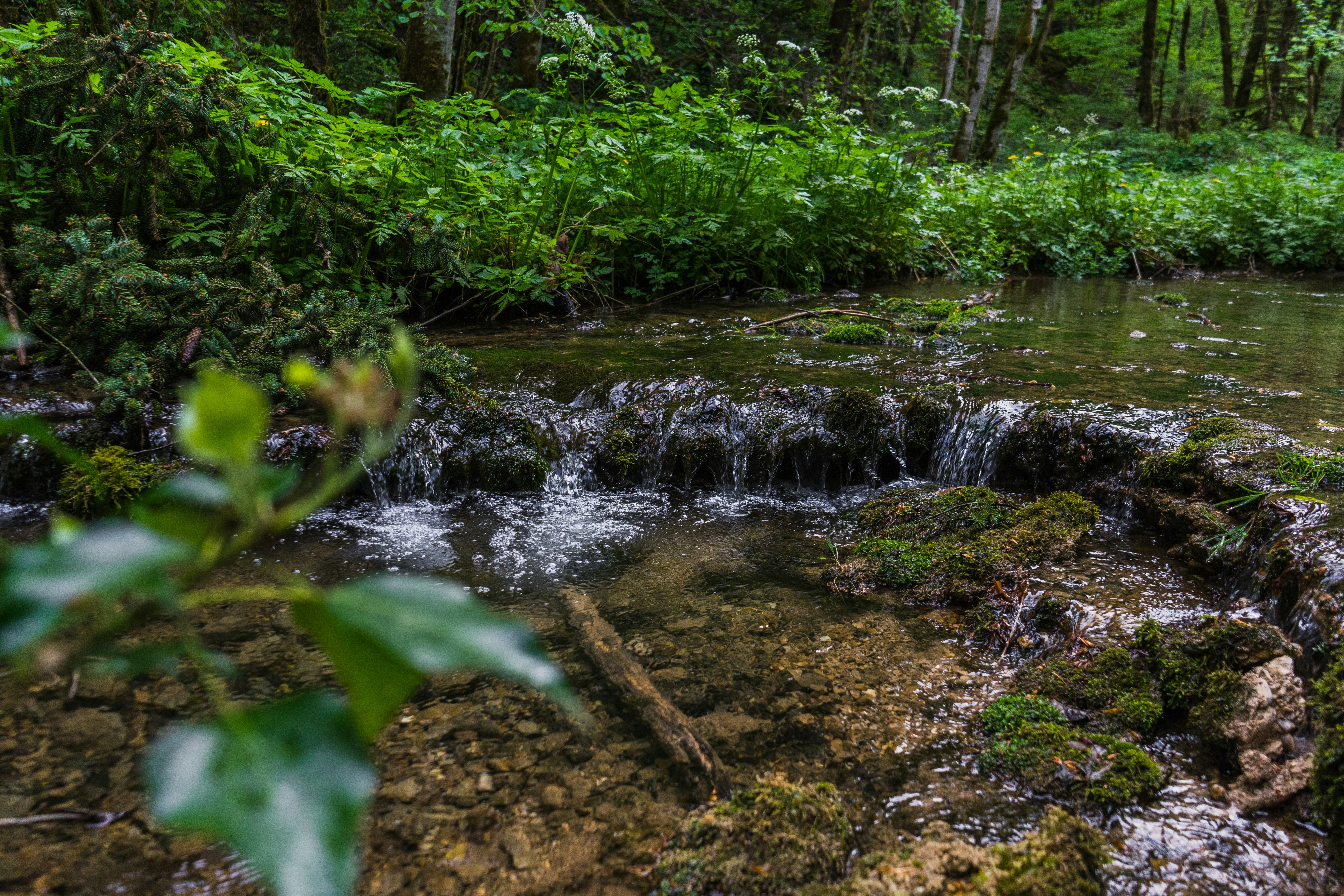 Photo by virussinside