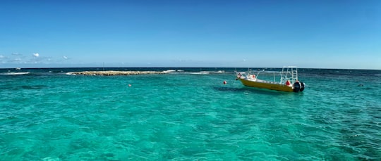 yellow and red boat on sea during daytime in Playa del Carmen Mexico