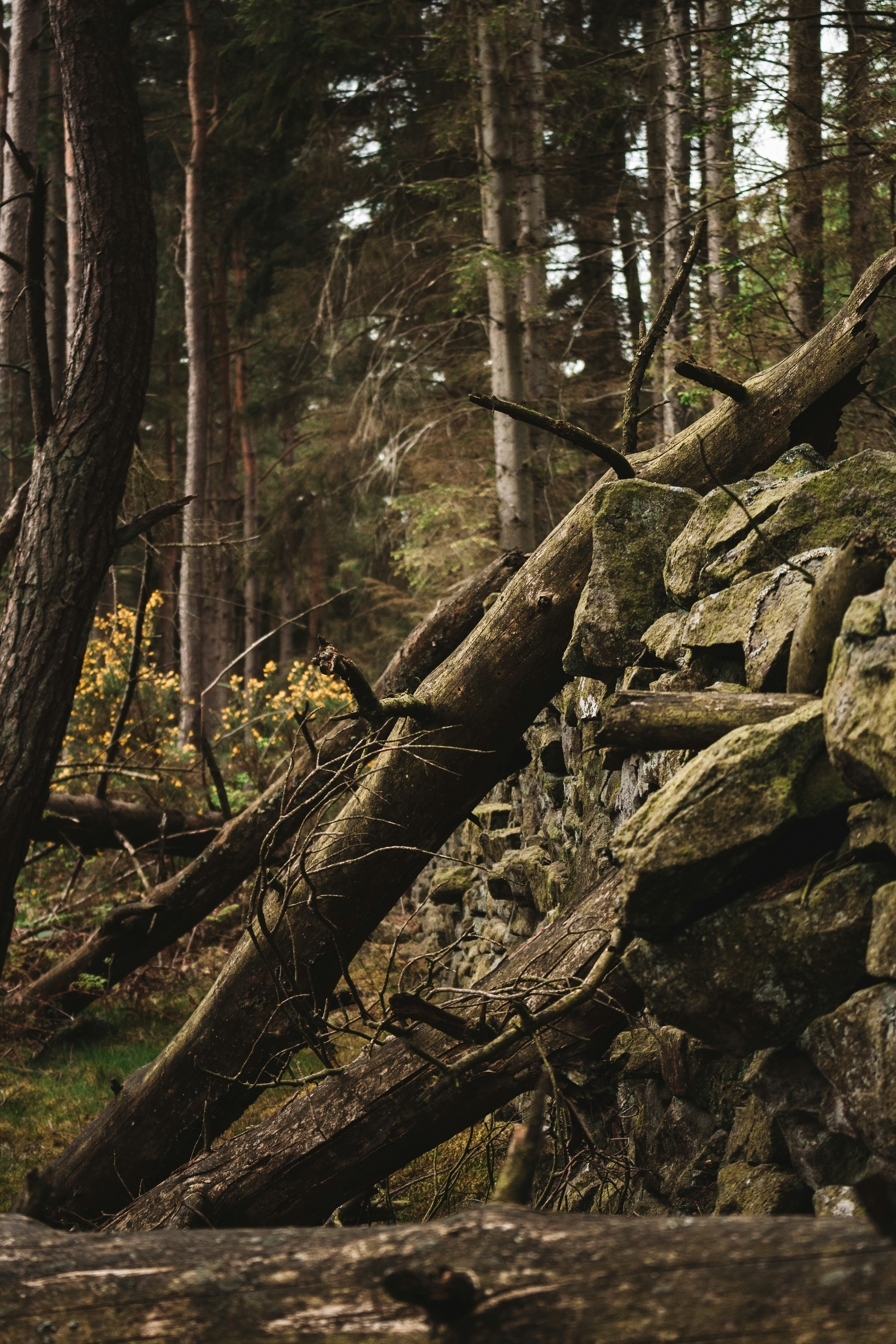 Photo by nathanmcdine