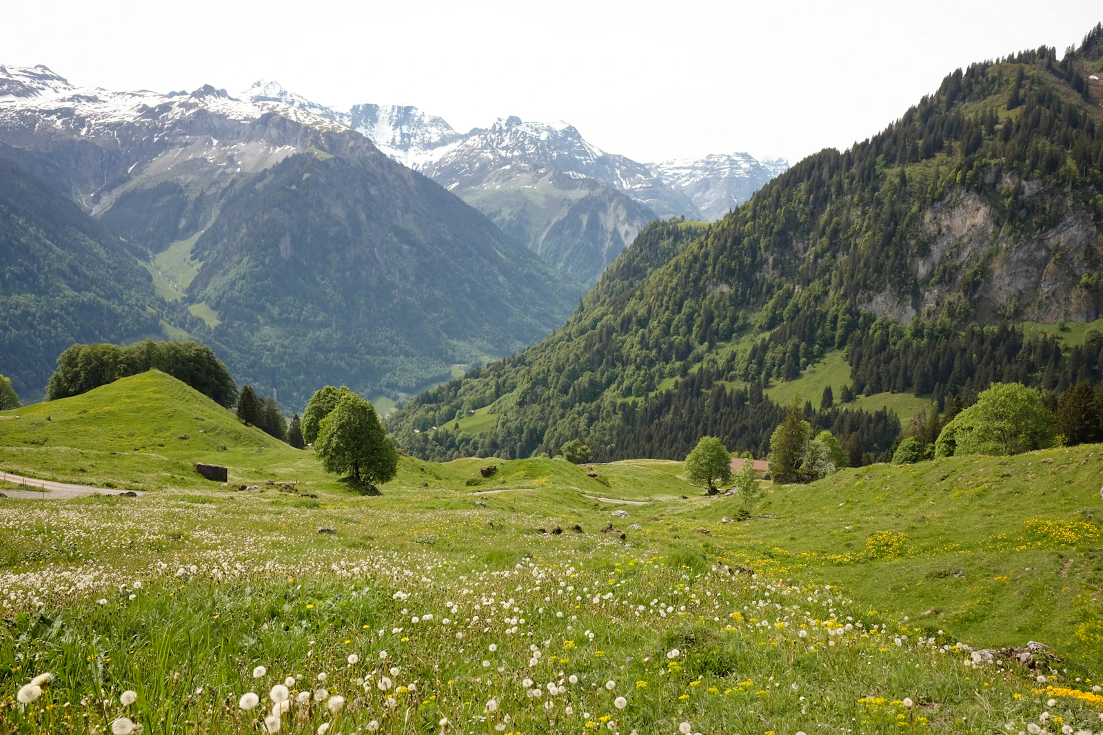 Grand Resort Bad Ragaz: Switzerland's Leading Wellbeing Resort