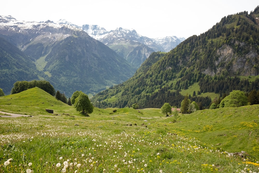 green grass field near green mountains during daytime