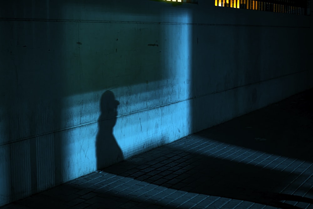 silhouette of person walking on sidewalk during night time