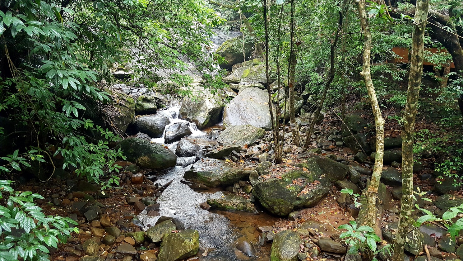 Wayanad in Kerala 