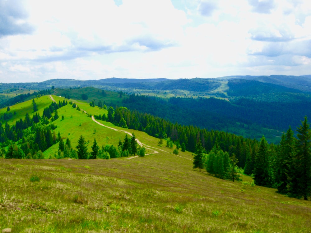 green trees on green grass field under white clouds during daytime