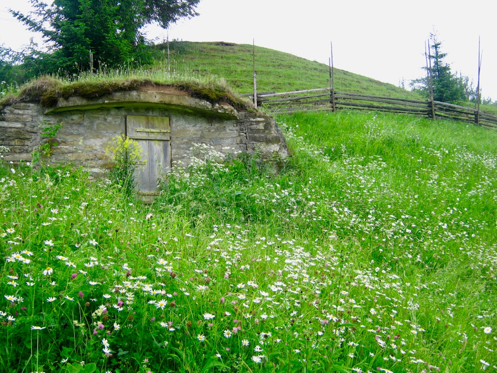 green grass field near brown wooden house during daytime