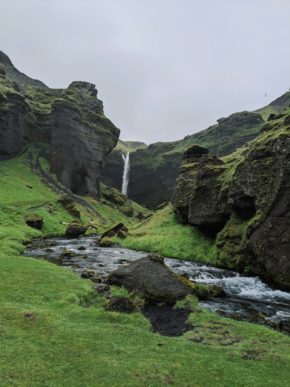 green grass field and green mountain