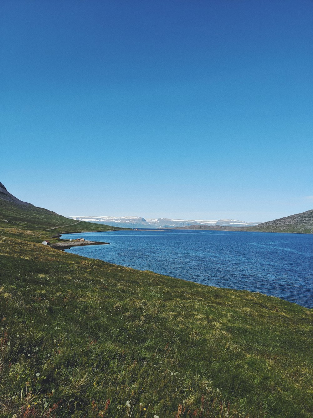 green grass field near body of water under blue sky during daytime