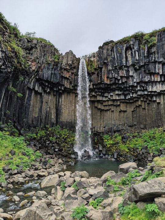 water falls between gray rocks in Skaftafell Iceland