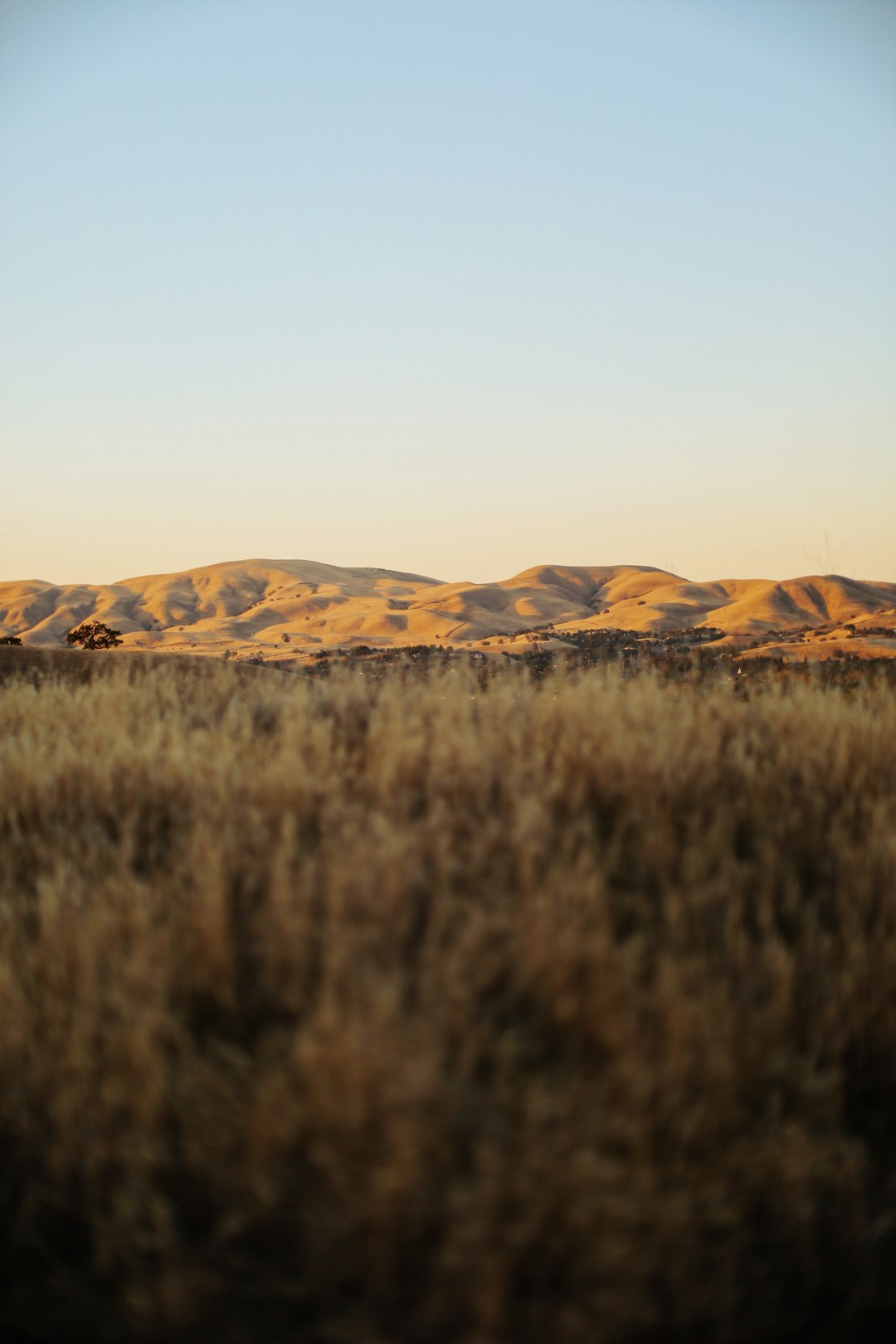 brown grass field near brown mountain during daytime