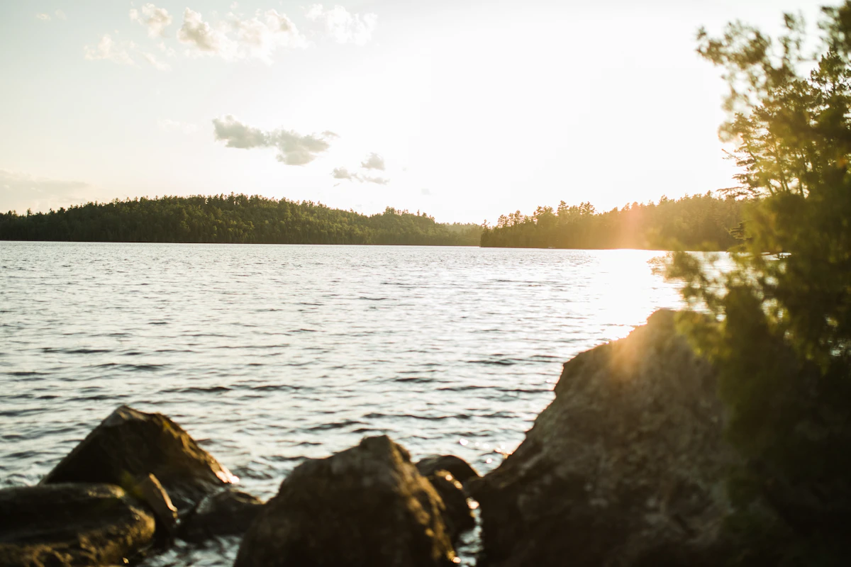Wooded shoreline of a Minnesota lake near Wayzata