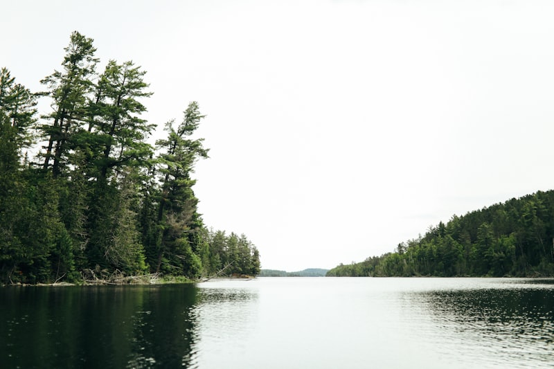 Green trees beside a lake during daytime in the Boundary Waters wilderness