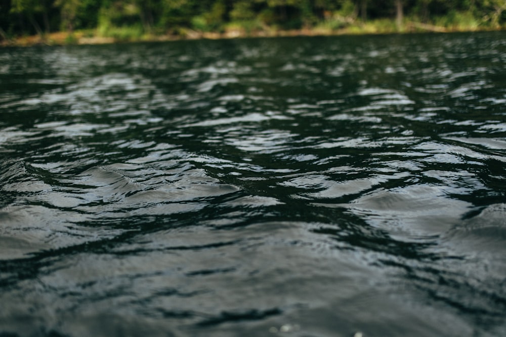 body of water near green grass during daytime