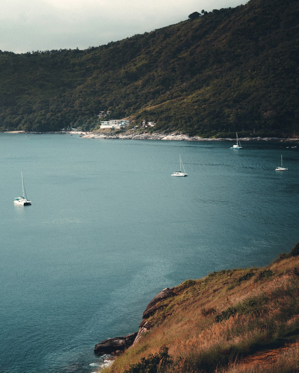 white boat on sea near green mountain during daytime