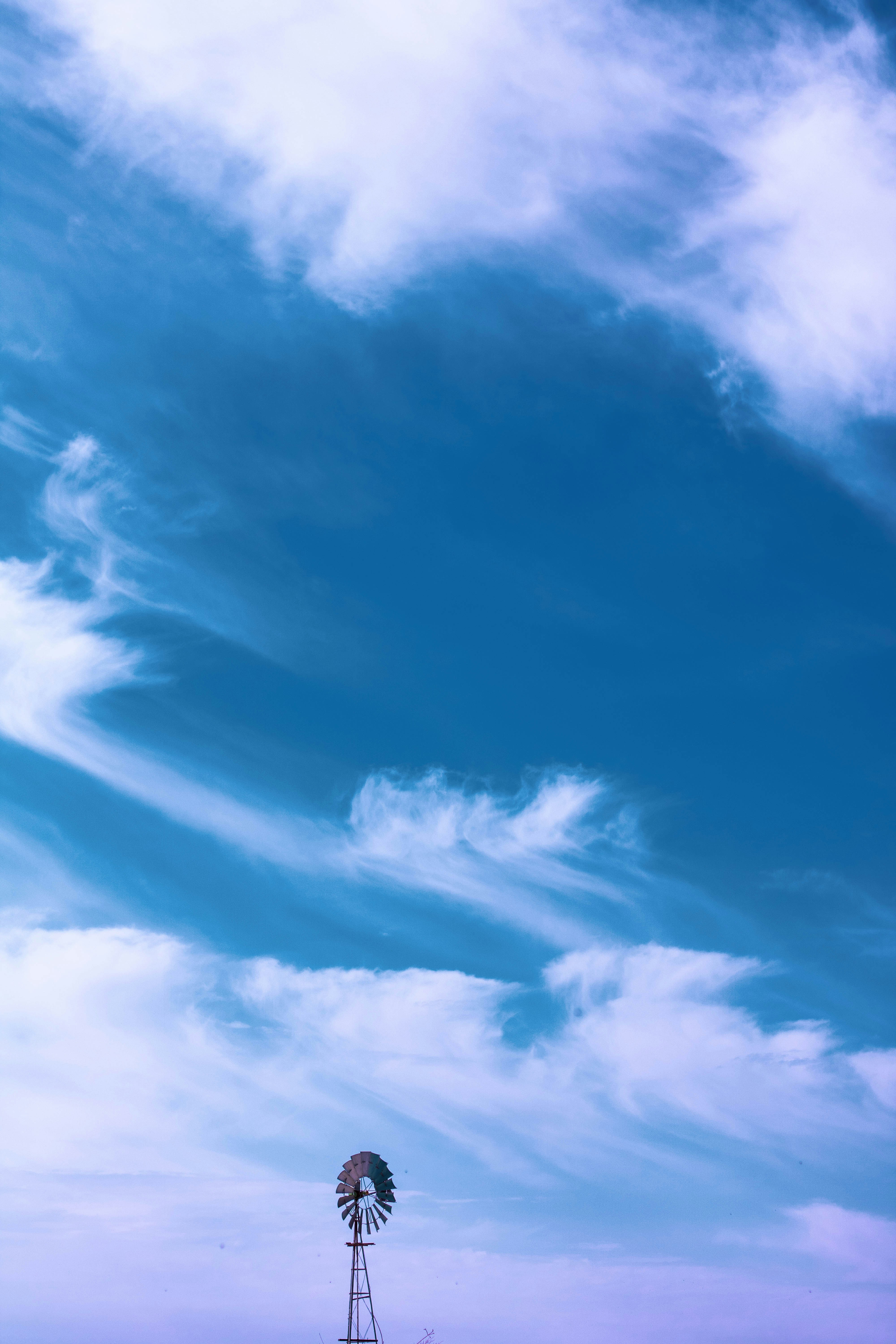 Photo by blueswallow