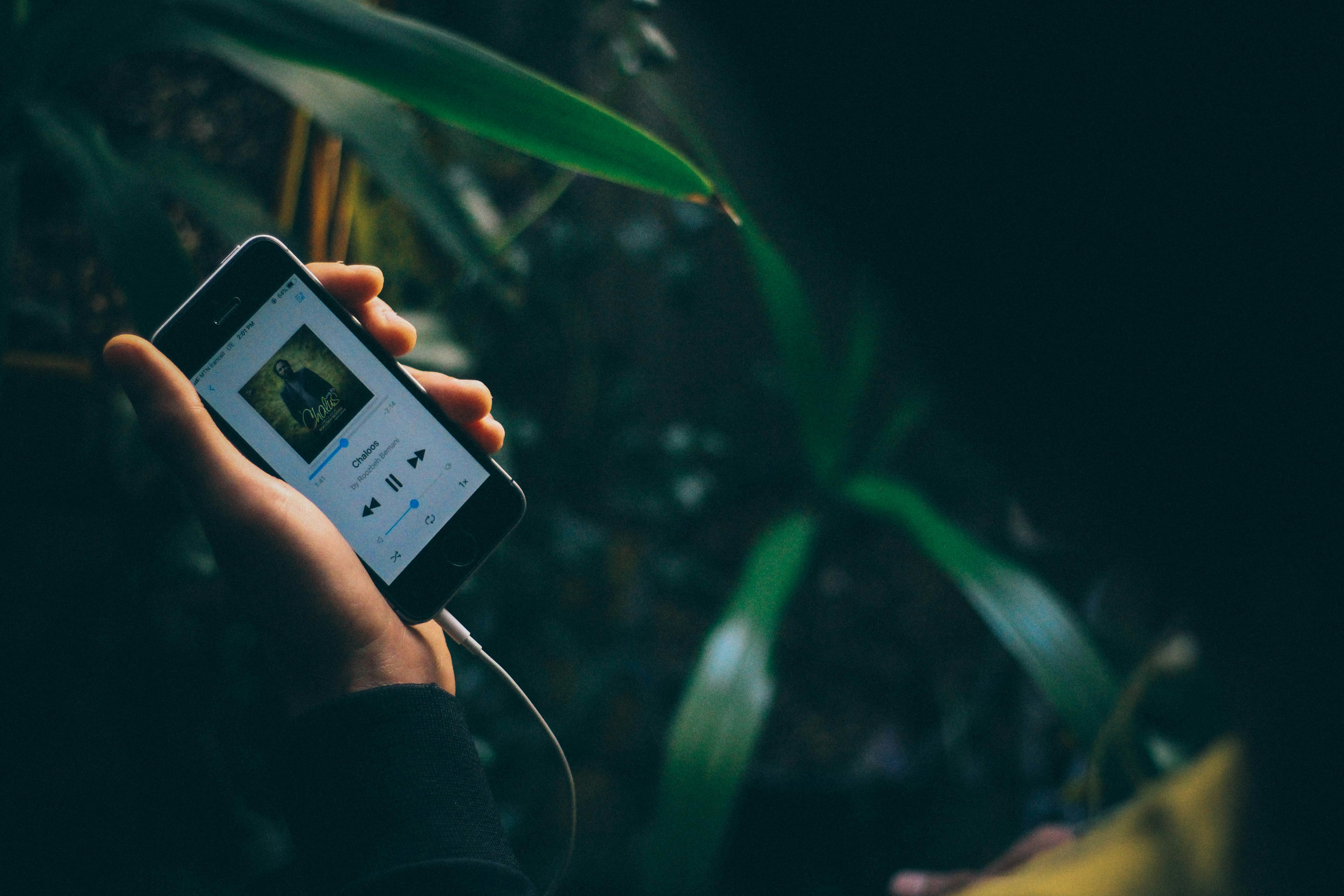 Photo by mohammadmsft