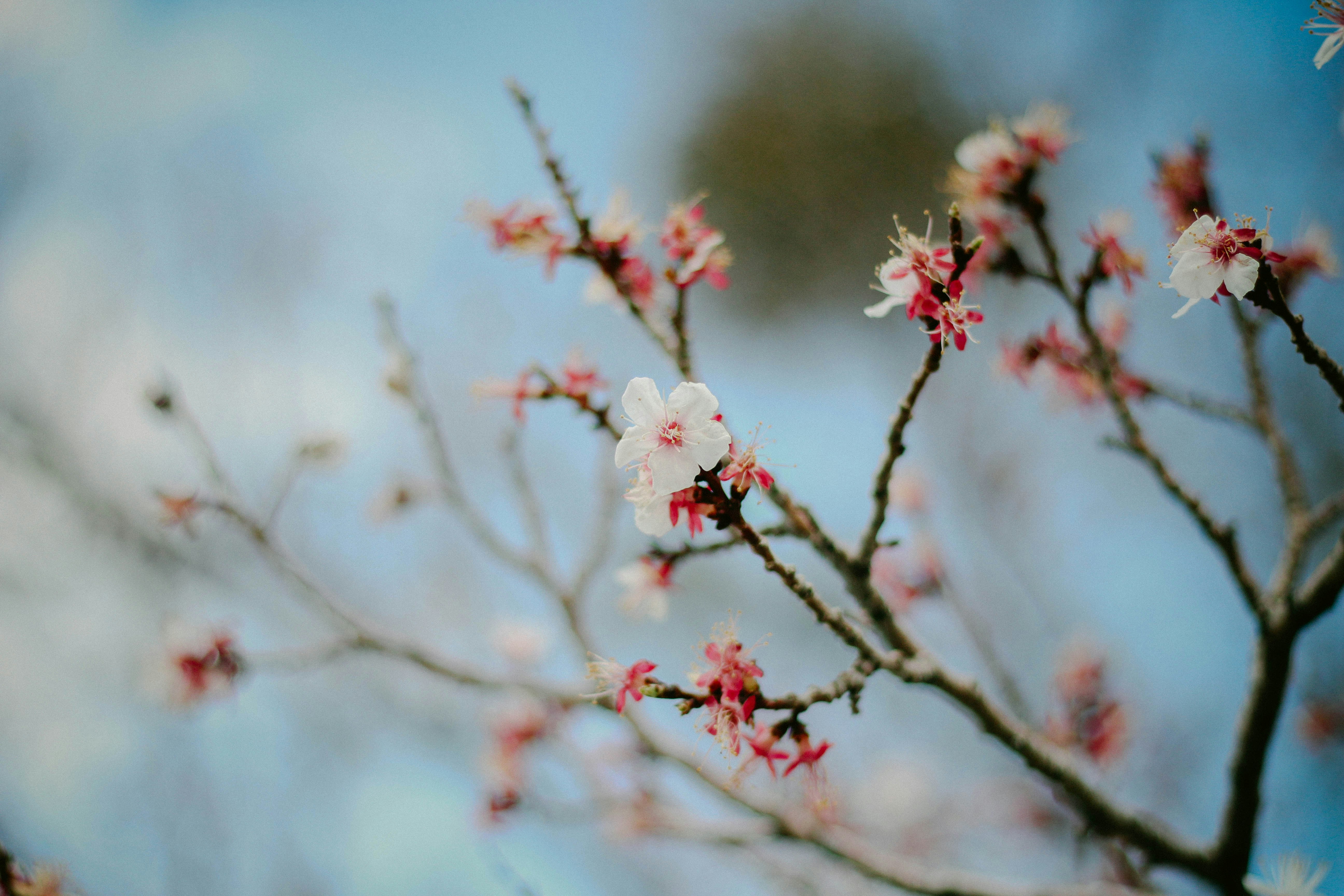 Photo by mohammadmsft